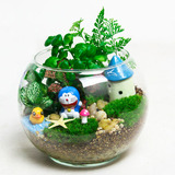 苔藓微景观龙猫办公室桌面小盆景创意迷你新奇植物生态瓶摆件DIY
