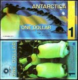 南极洲塑料钞1美-元 美金 南极企鹅外国纸币 钱币 UNC全新
