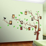 家装浪漫墙壁贴纸可移除客厅背景装饰相框贴照片墙贴相片树墙贴画