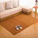 现代欧式宜家纯色珊瑚绒地毯客厅茶几卧室床边榻榻米地垫门垫