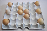 白色纸浆鸡蛋托30枚 养殖运输隔音包装礼盒专用鸡蛋托