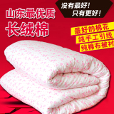 纯手工棉花被芯春秋冬被子定做单人双人棉被学生儿童宿舍被褥床垫