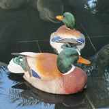 别墅花园地产户外景观水池装饰品摆件仿真动物浮水绿头鸭子工艺品