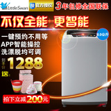 Littleswan/小天鹅 TB80-easy60W全自动洗衣机8kg公斤家用大容量