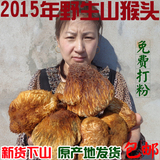 【正常发货】东北特产特级野生猴头菇干货可打粉养胃山货250g包邮