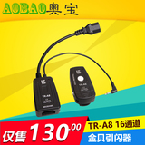 热销金贝新款TR-A816通道数码引闪器金贝摄影灯闪光灯配件特价