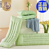 远梦家纺决明子定型长枕 双人枕头枕芯 纯棉布特价 床上用品
