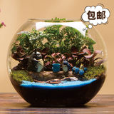 苔藓微景观龙猫生态瓶创意迷你植物DIY盆栽办公室摆件新奇礼物
