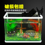 鱼缸水族箱乌龟活体高清玻璃水培鱼缸生态热带鱼缸创意造景金鱼缸