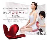 日本EMS直邮代购 MTG Body Make Seat Style 矫正脊椎护腰坐垫