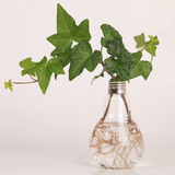 欧式创意灯泡花瓶 透明玻璃绿植水培花器文艺办公餐厅桌面花插瓶