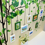 绿色世界小清新绿林飞鸟墙贴儿童屋装饰客厅实木照片墙相框墙挂框
