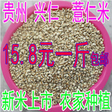 新货五谷杂粮薏米贵州小薏米农家自产小薏仁米有机薏米仁500g包邮