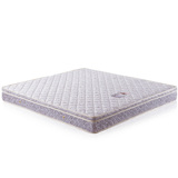 天然椰棕床垫1.5 1.8米床垫 软硬两用席梦思棕垫厂家直销