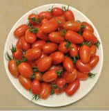 丹东99草莓地小柿子草莓番茄东港409小柿子圣女果纯生态有机水果