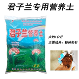 君子兰营养土包邮 花卉专用 松针发酵营养土 君子兰专用基质