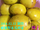 自制蜂蜜野/酸木瓜单一酵素原液，非日本台湾自制果蔬酵素粉