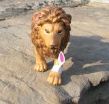 正品七折 美国Safari 仿真动物模型 安哥拉雄狮 绝版模型教具玩具