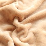 合雨法兰绒毛毯冬季加厚保暖珊瑚绒毯子单人盖毯双人床单纯色单件