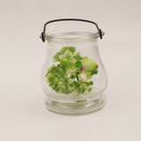 玻璃双耳挂钩烛台水培花瓶桌面摆饰插花园艺花瓶小型花器透明彩色