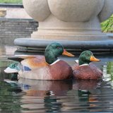 frz树脂工艺品家居别墅花园水池软装饰品摆件仿真浮水鸭绿头鸭子
