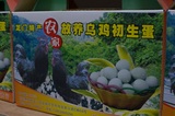 龙门特产农家放养新鲜乌鸡初生蛋 礼盒装