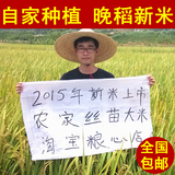 2015年新米农家自种大米现磨特级丝苗米无抛光纯天然籼米5KG包邮