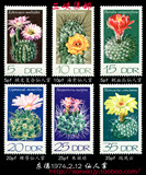 民主德国邮票东德1974年仙人掌6全新 植物 仙人球
