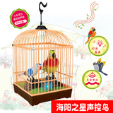 海阳之星正品儿童玩具电动小鸟感应声控玩具会叫会动鹦鹉玩具