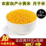 黄小米 陕西小米 农家产品小黄米自产自销小米粥有机杂粮 月子米