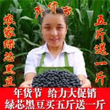 绿芯黑豆 农家自产黑豆粗粮 纯天然绿心 豆浆 乌发杂粮250g