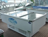 KX-858WDZ速冻冷藏冷冻保鲜冷藏海鲜水饺展示柜超大容积冰箱冰柜