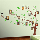 学教室文化布置墙贴纸可转移包邮照片墙相片树沙发客厅创意班级小