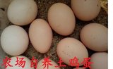 30枚土鸡蛋江西泰和蛋白凤苗种蛋受精蛋柴鸡蛋蛋