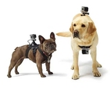 小蚁运动相机宠物狗狗胸带背带HERO43+胸前固定肩带GOPRO配件