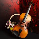 艺贝/Ebel小提琴E01儿童成人初学者手工考级乐器赠全套配件