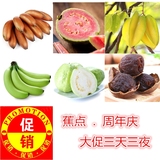 楼红皮香蕉 4斤包邮果园直销 玫瑰蕉【蕉点+周年庆】新鲜水果土