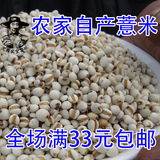 五谷杂粮黑哥农家原产薏米薏苡仁粗粮薏米仁 小薏米 非大薏米250g