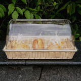 面包水果篮筐带盖蛋糕食物展示托盘自助餐盘试吃盘透明罩