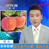 烟台苹果水果有机山东栖霞红富士苹果10斤胜阿克苏冰糖心洛川苹果
