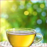 ?特火麻生态茶 广西凤山特产礼盒袋泡茶 绿茶包养生茶火麻茶 144