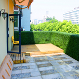 仿真草坪绿化墙体地毯草皮假浅色米兰阳台绿植装饰绿色植物背景墙
