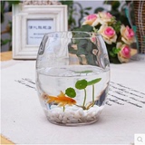 鹅蛋水培玻璃花瓶透明宜家风格小水培器皿花器养鱼养花瓶子桌面