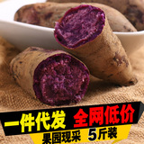 梁公子 广西农家紫薯 新鲜地瓜 紫色番薯 紫心红薯  5斤包邮代发