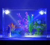LED鱼缸射灯补光灯 水族箱潜水灯照明灯鱼缸装饰迷你小射灯1W节能