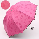 遇水开花晴雨伞防晒黑胶紫外线太阳伞女士折叠遮阳见水开花伞