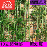 仿真竹子假竹子客厅装饰 隔断仿真树假树绿植物假花落地盆栽盆景
