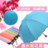 遇水开花晴雨伞两用折叠女太阳伞防紫外线超轻遮阳伞超强防晒黑胶
