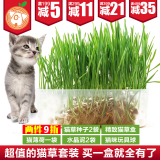 出口韩国宠物猫咪化毛去毛球猫草种子零食猫草套装 猫薄荷 包邮