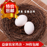 鸽子蛋新鲜特价促销土特产初产信鸽蛋病人孕妇小孩首选蛋中精品优